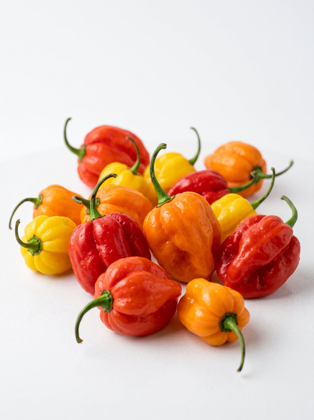 Fresh Scotch Bonnet